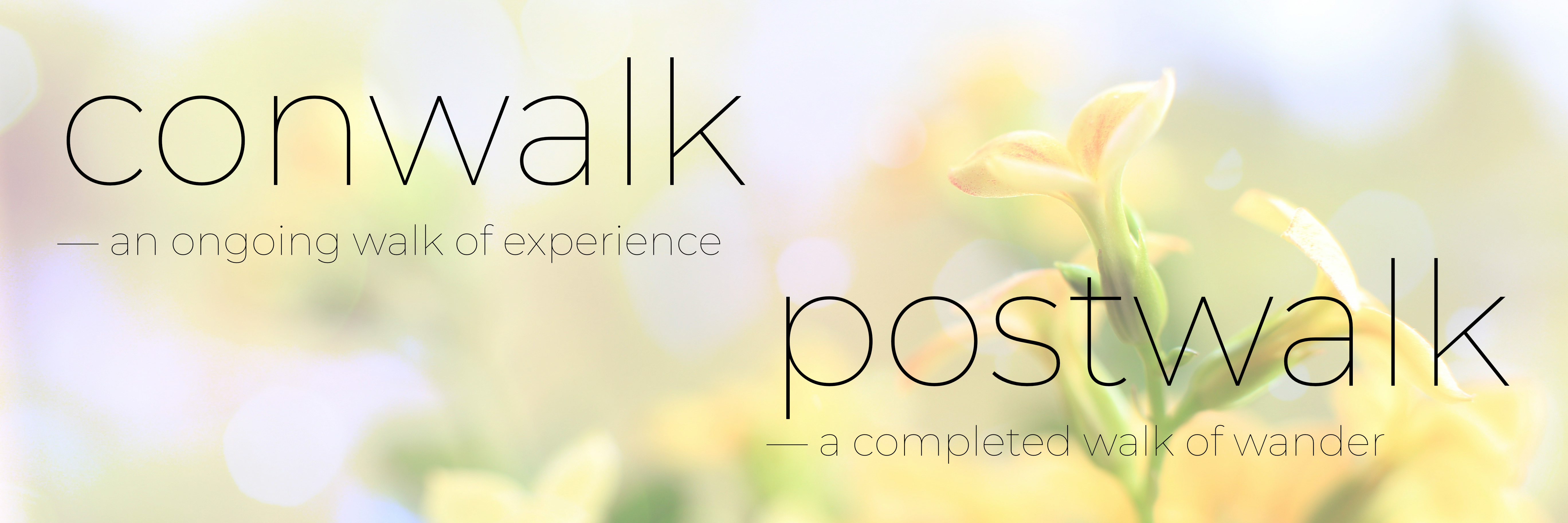 imaginative example of verb aspect in english